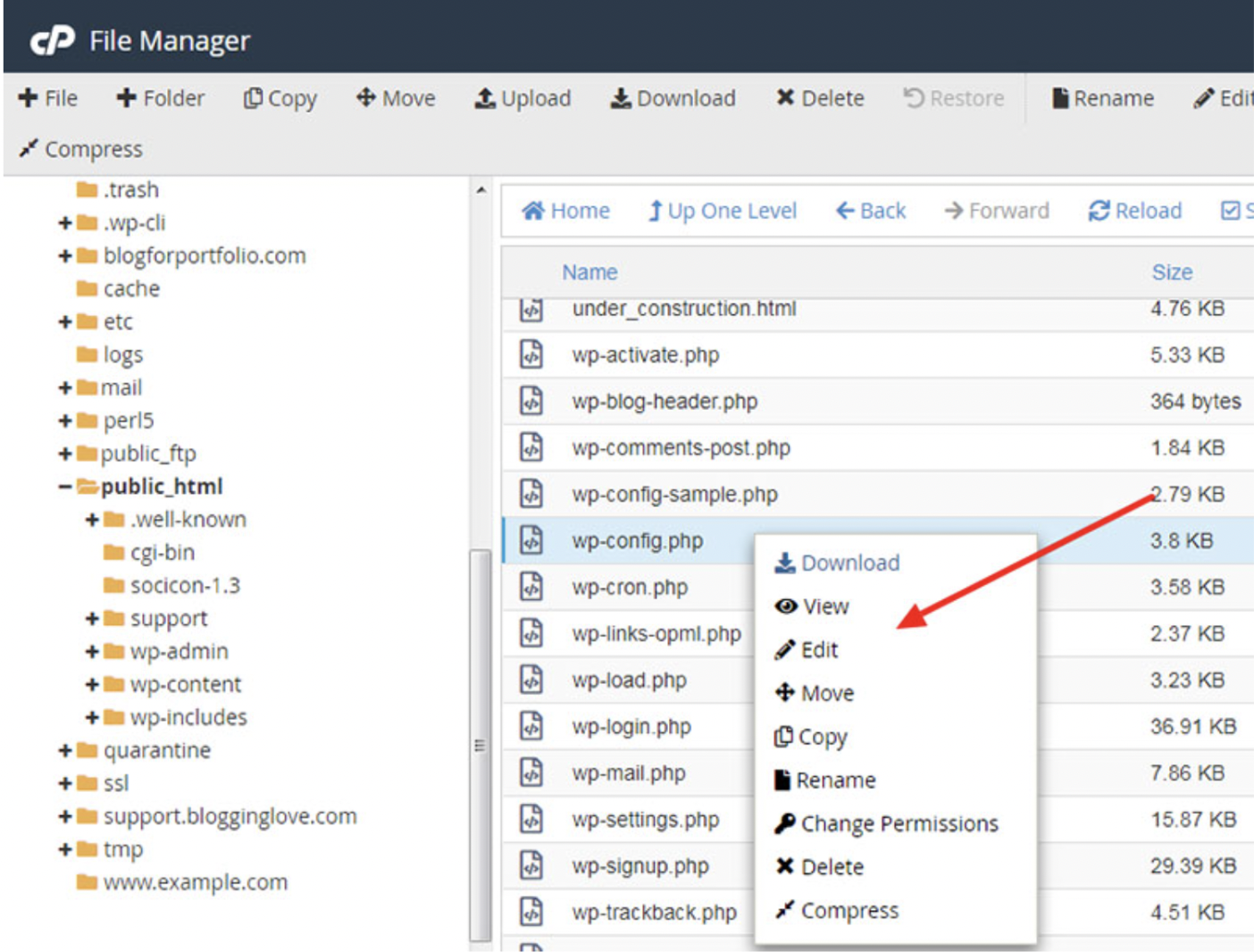 Navigate to the WordPress site's directory