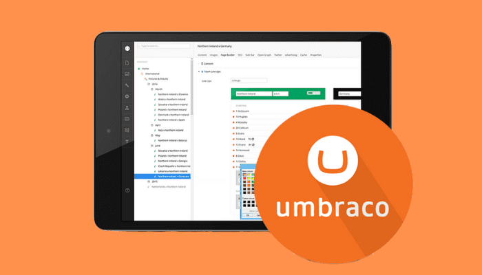 Umbraco Hosting Guide: Elevate Your CMS Experience | Blog | Stablepoint