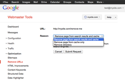 removing your website from google
