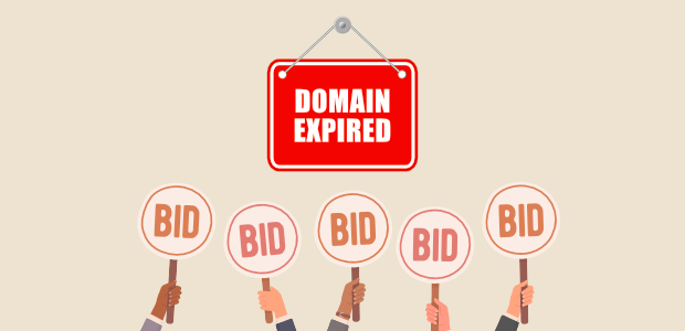 Buying Expired Domains: A Comprehensive Guide For Success | Blog ...