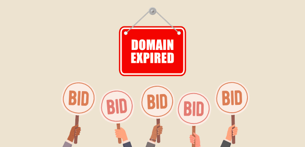 Buying Expired Domains: A Comprehensive Guide for Success