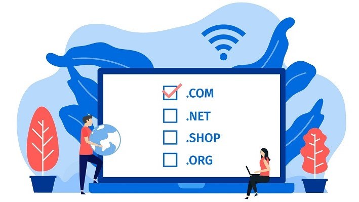 Typical Duration of a Domain Transfer Process