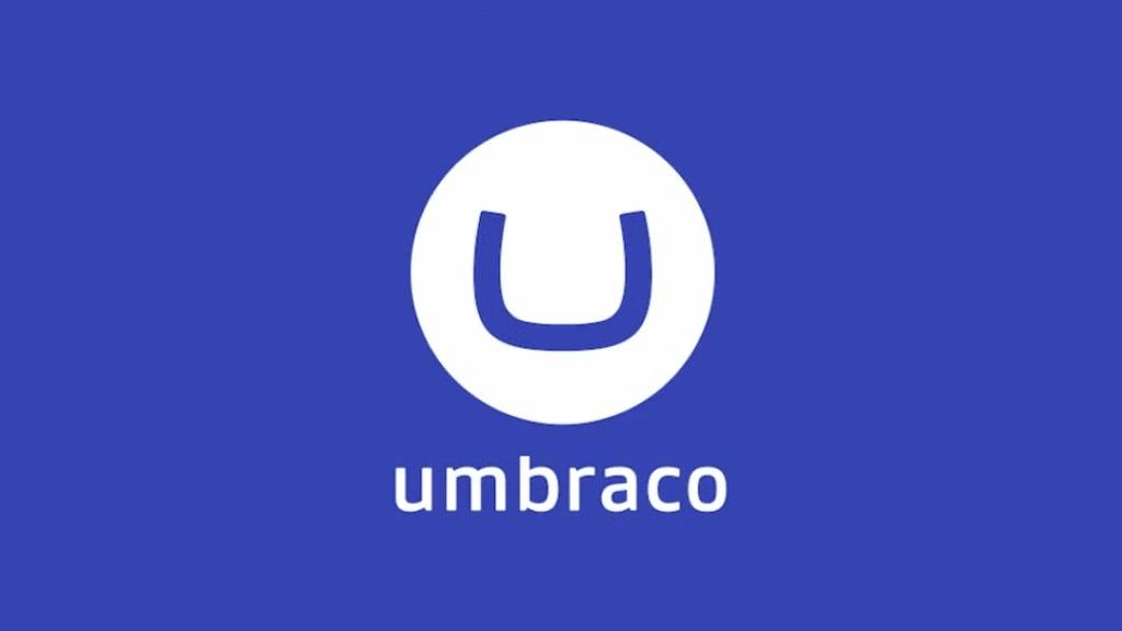 Umbraco Hosting Guide: Elevate Your CMS Experience